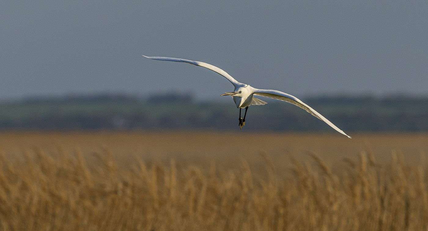 Иду на таран
