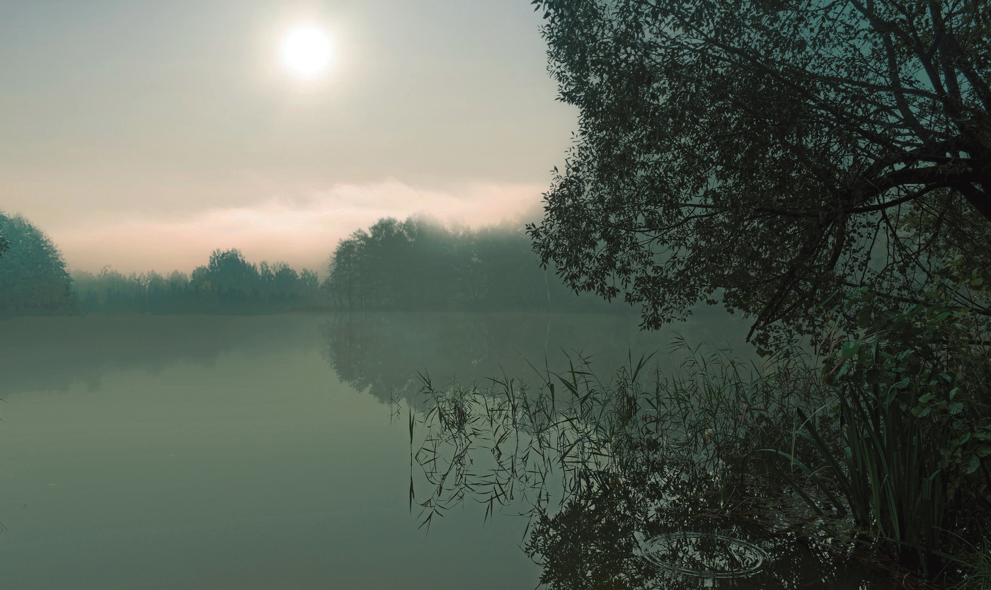 Вечерний туман нежно всё пеленает ....