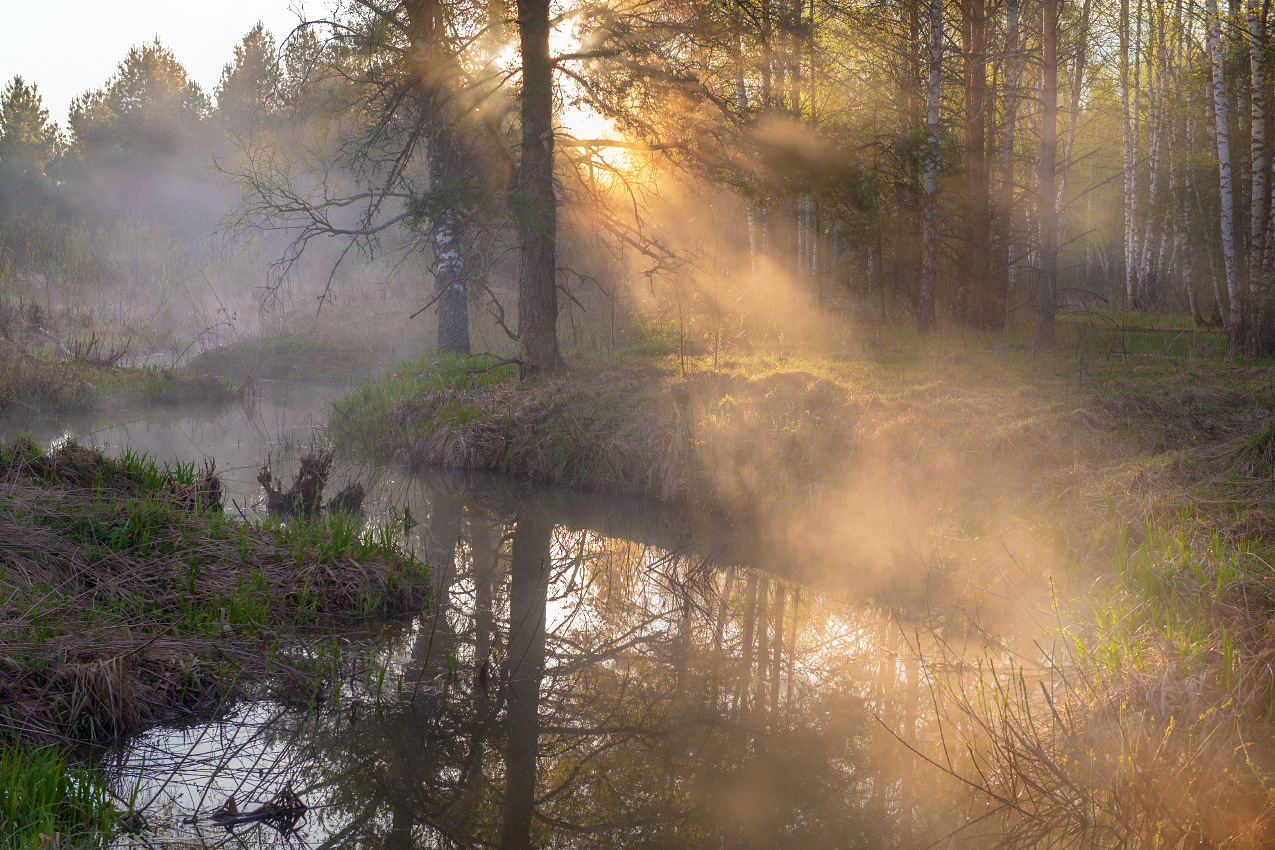 День начинается.