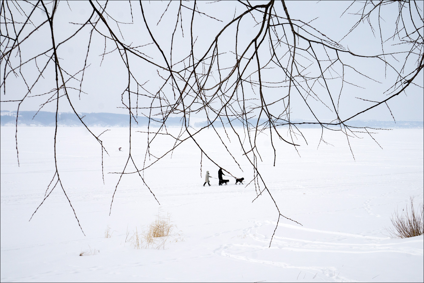 привязанность
