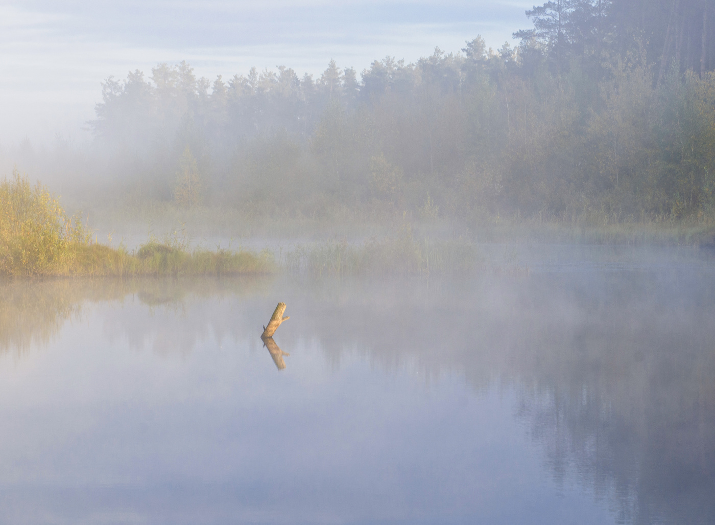 Старое озеро...