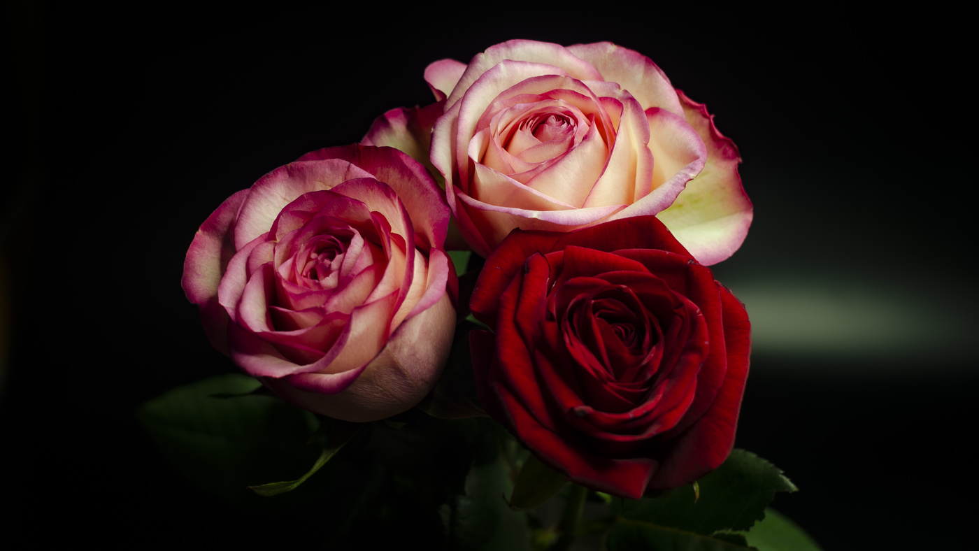 Говорят, люди, любящие цветы, обладают особенно нежным духом.