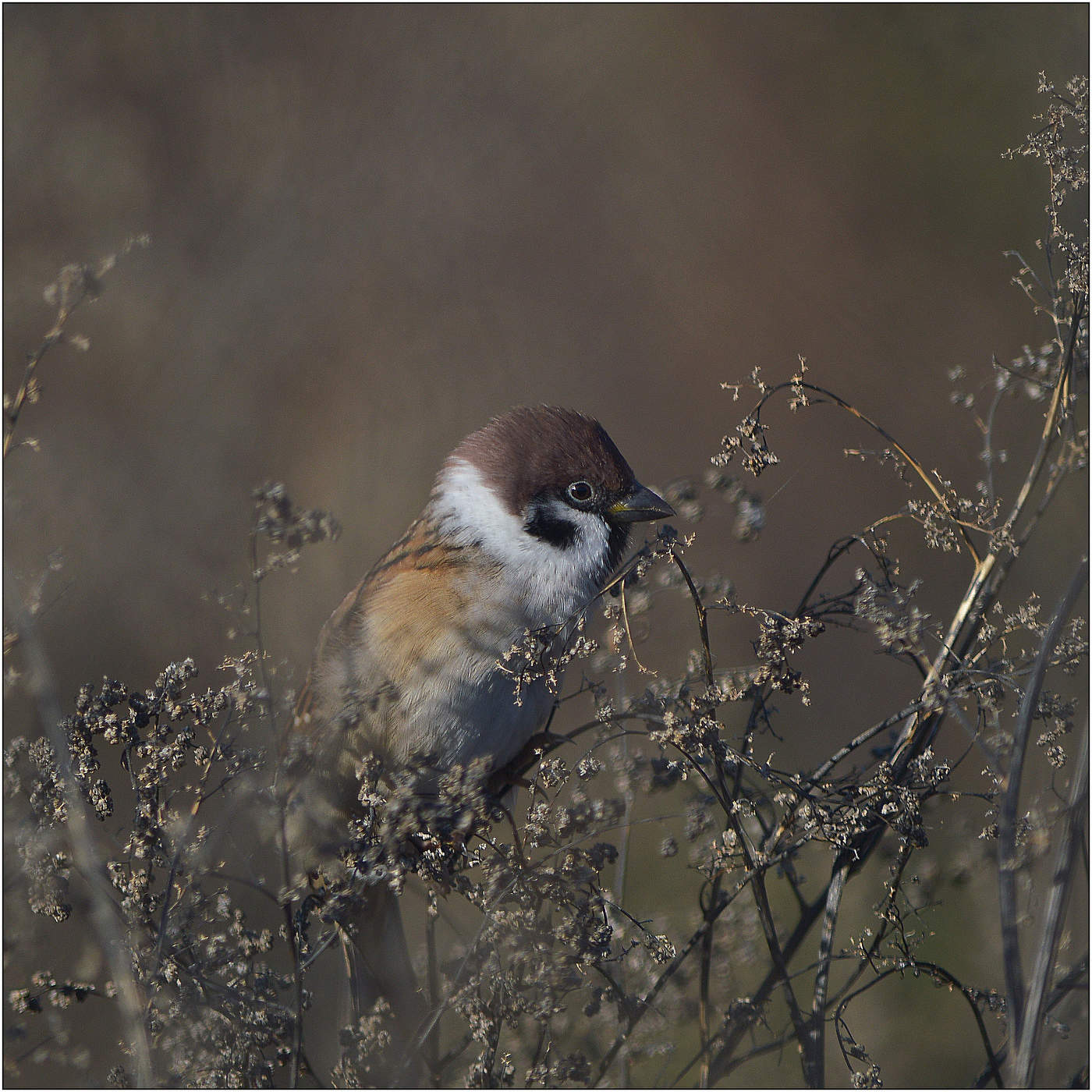 ...а где все?