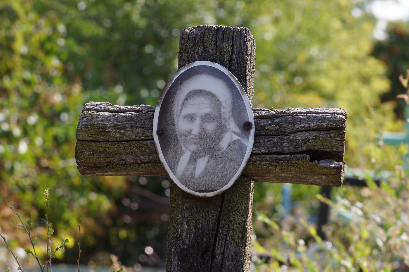 Мы только тени