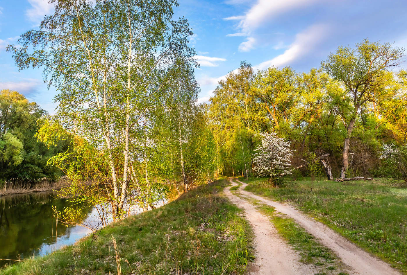 Весною вдоль речки.