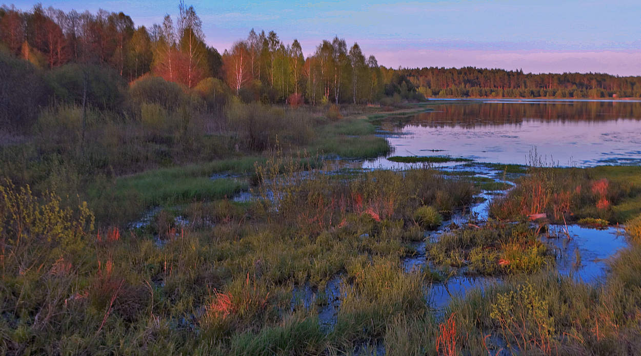 Вечерние, весенние оттенки