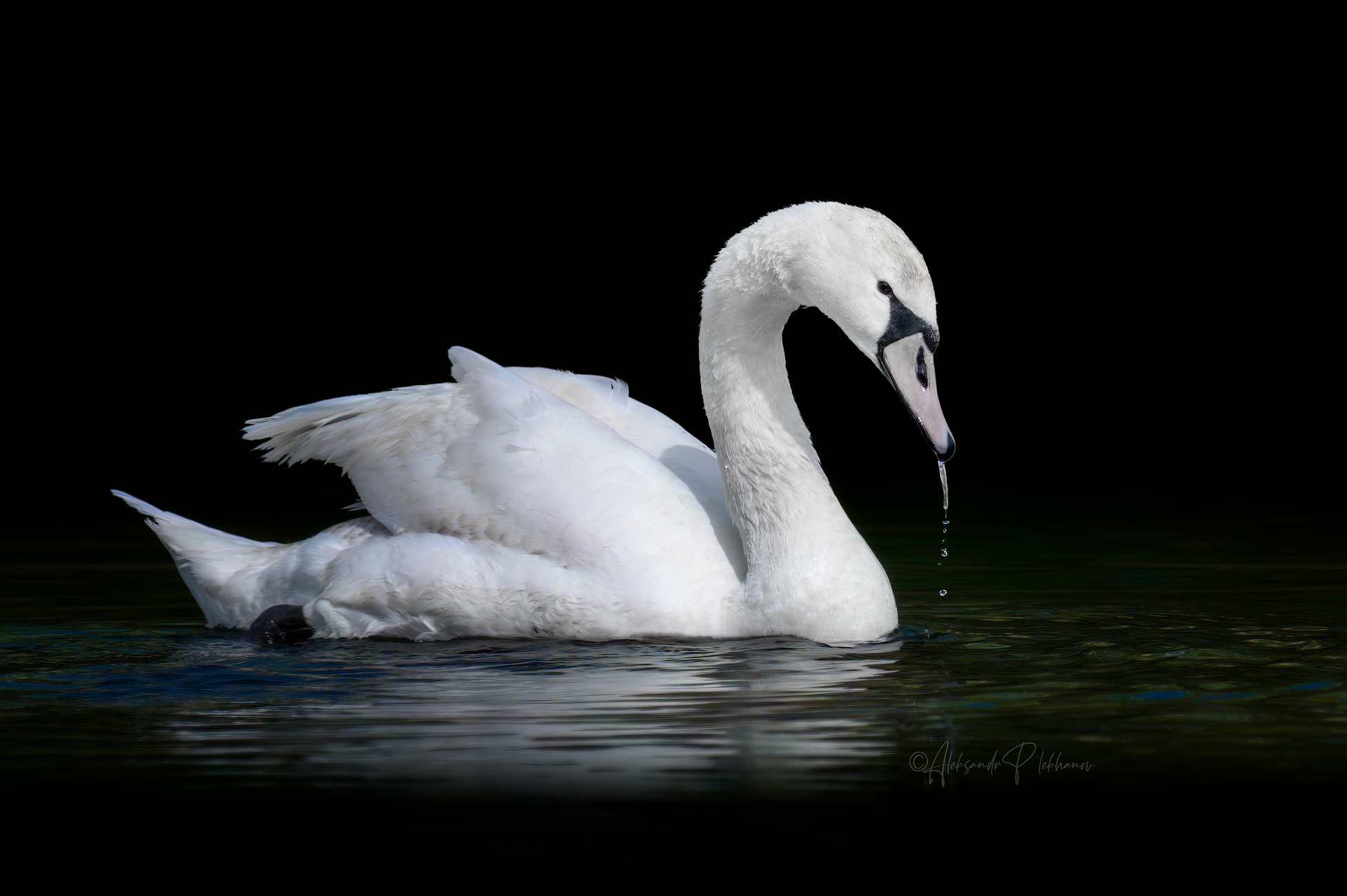 На стороне света