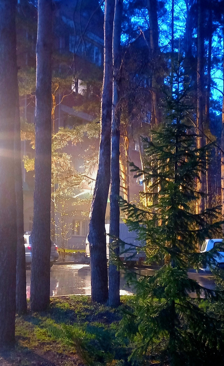 после дождя