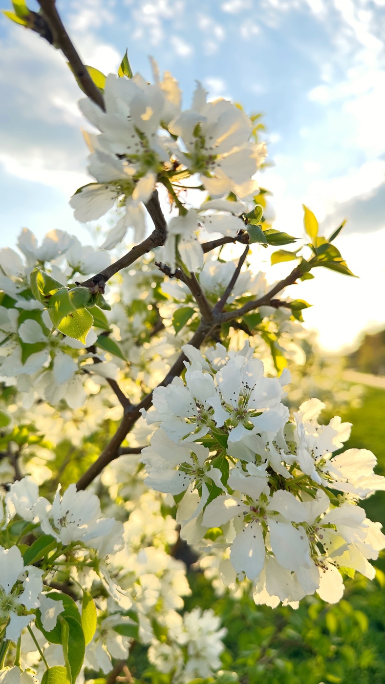 Весна глаз радует