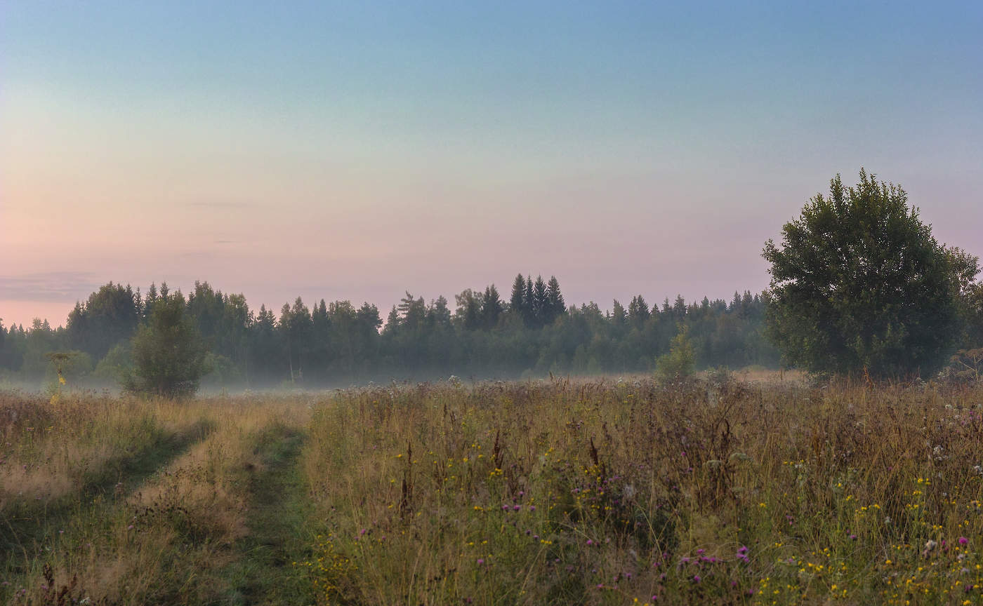 Летними дорогами