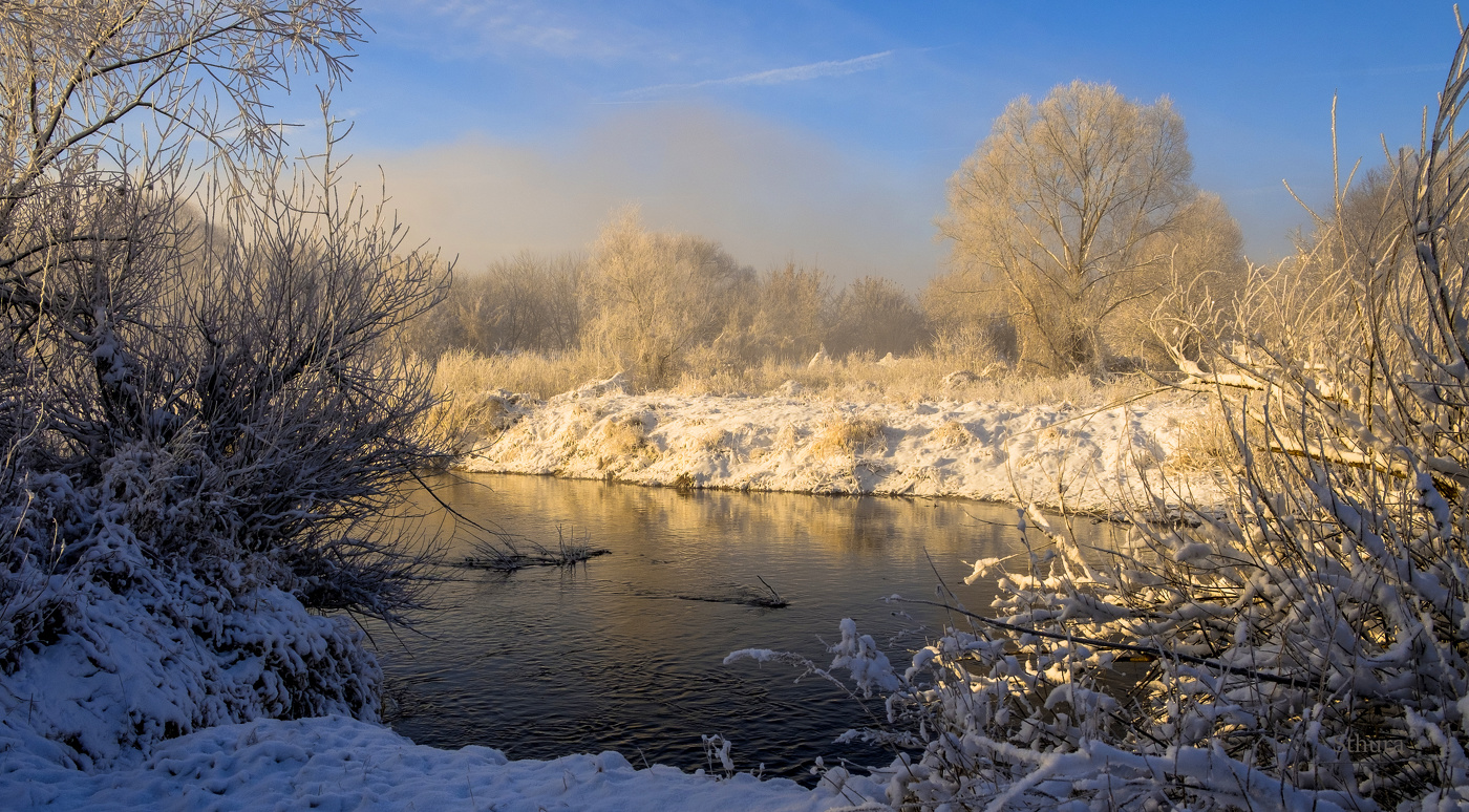 Весеннее утро.