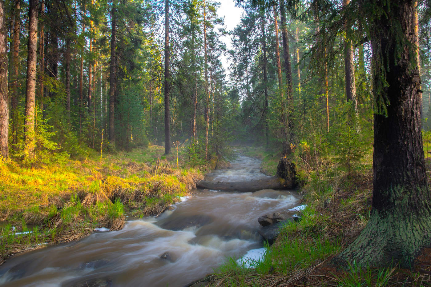 Весеннее половодье