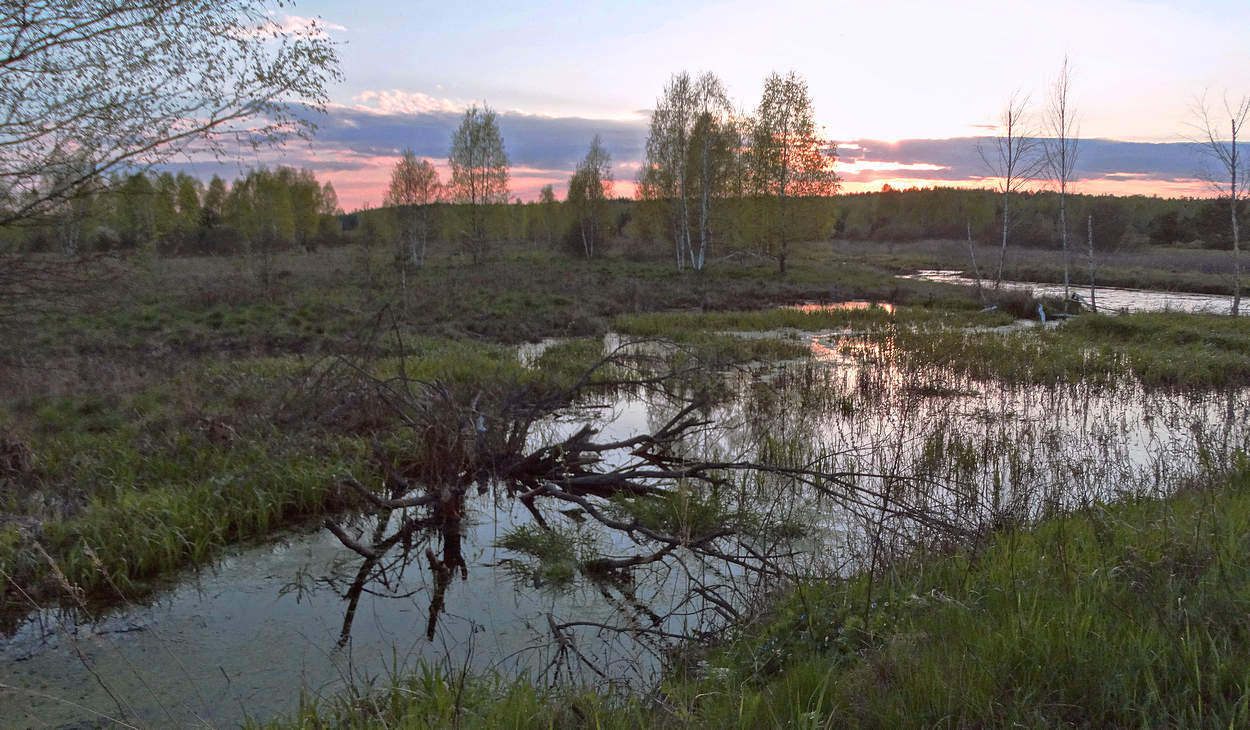 Майским вечером
