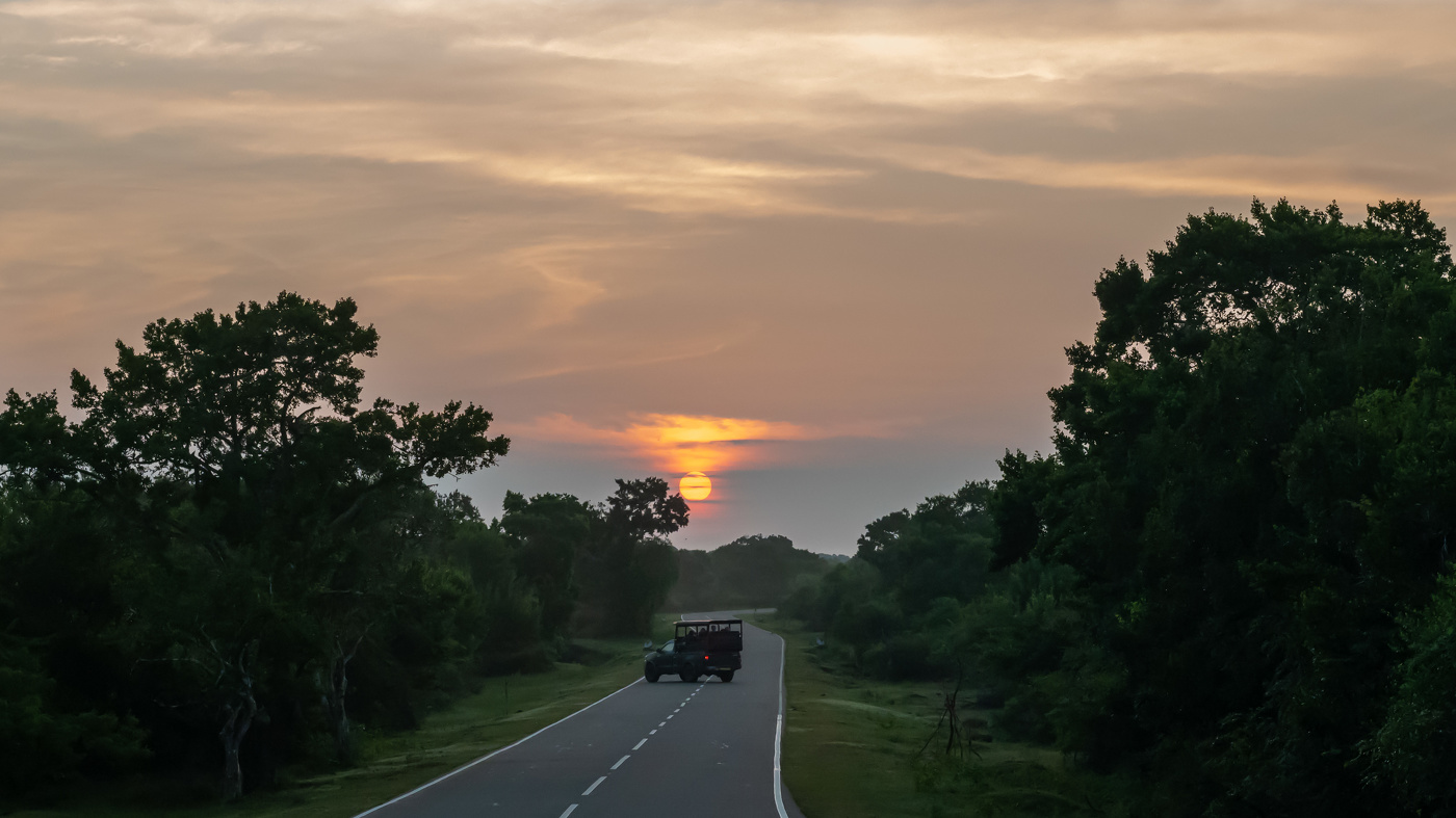 на встречу с леопардами