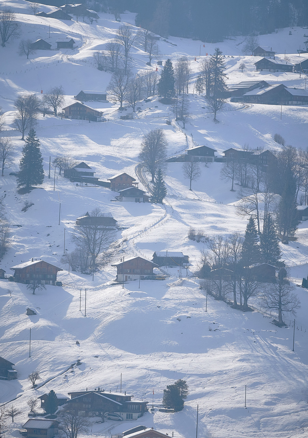 Зимние каникулы...