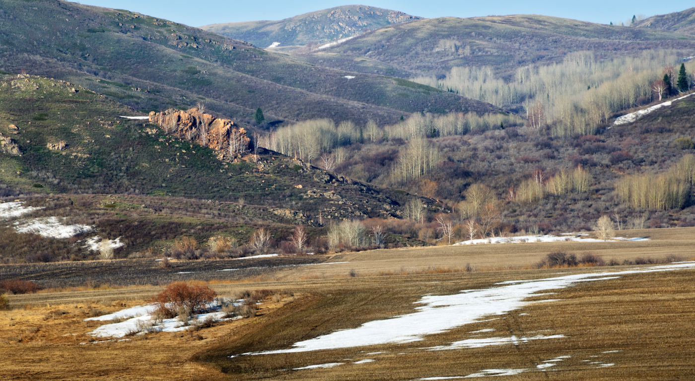 Пробуждение