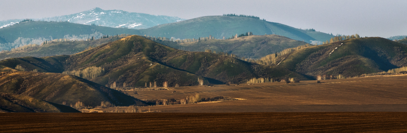 Весенний вечер