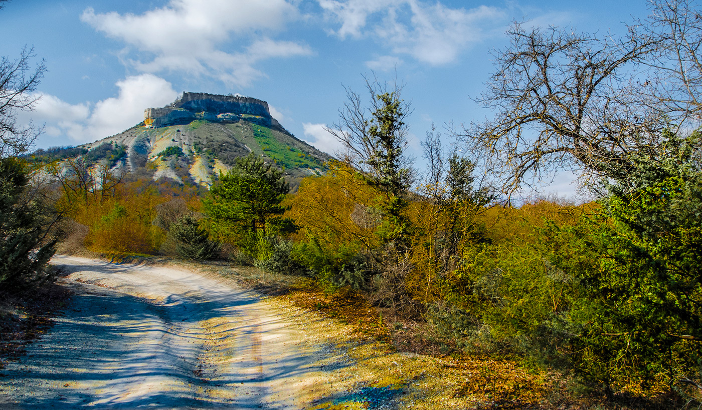 Весенние тени