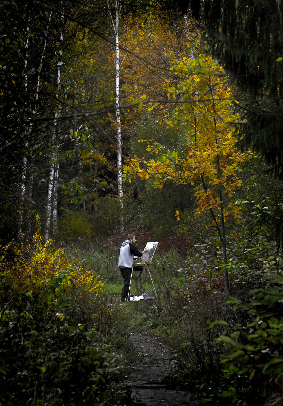 Осеннее настроение 2