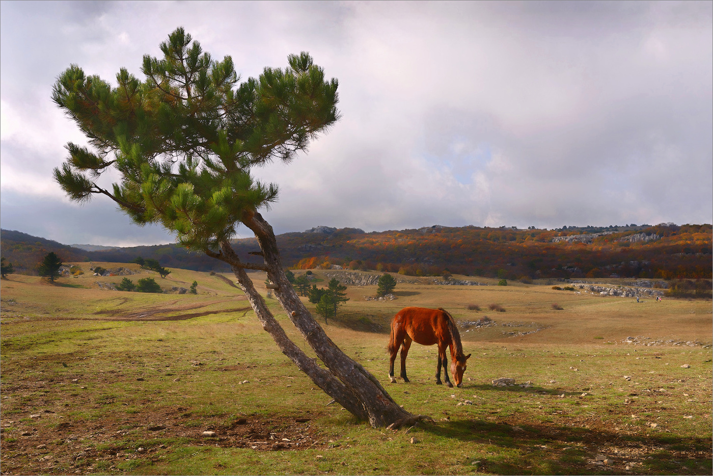 Обратная сторона Ай-Петри.