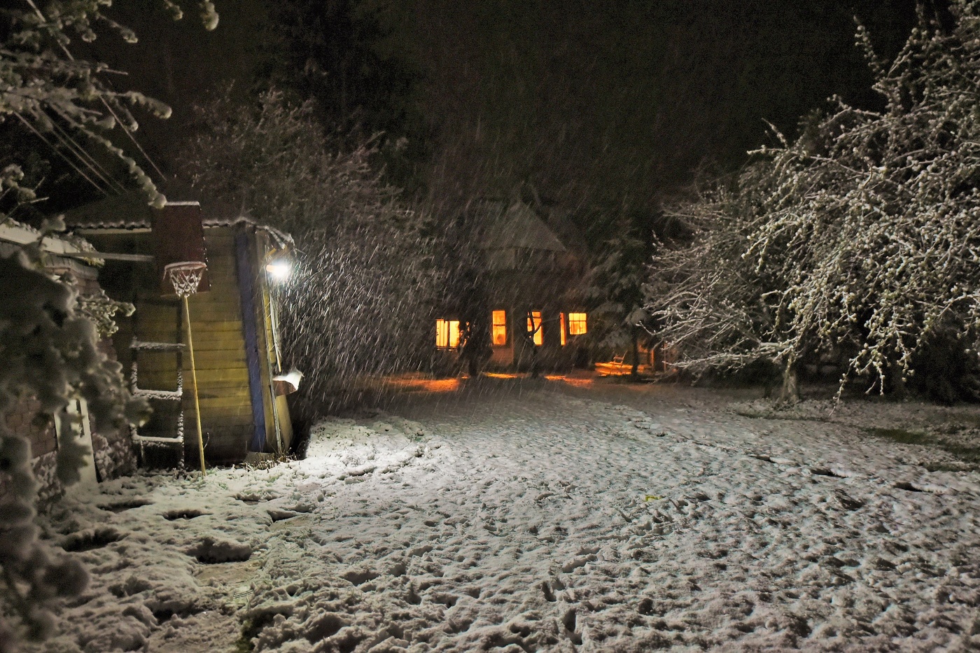 Майская неожиданность ...