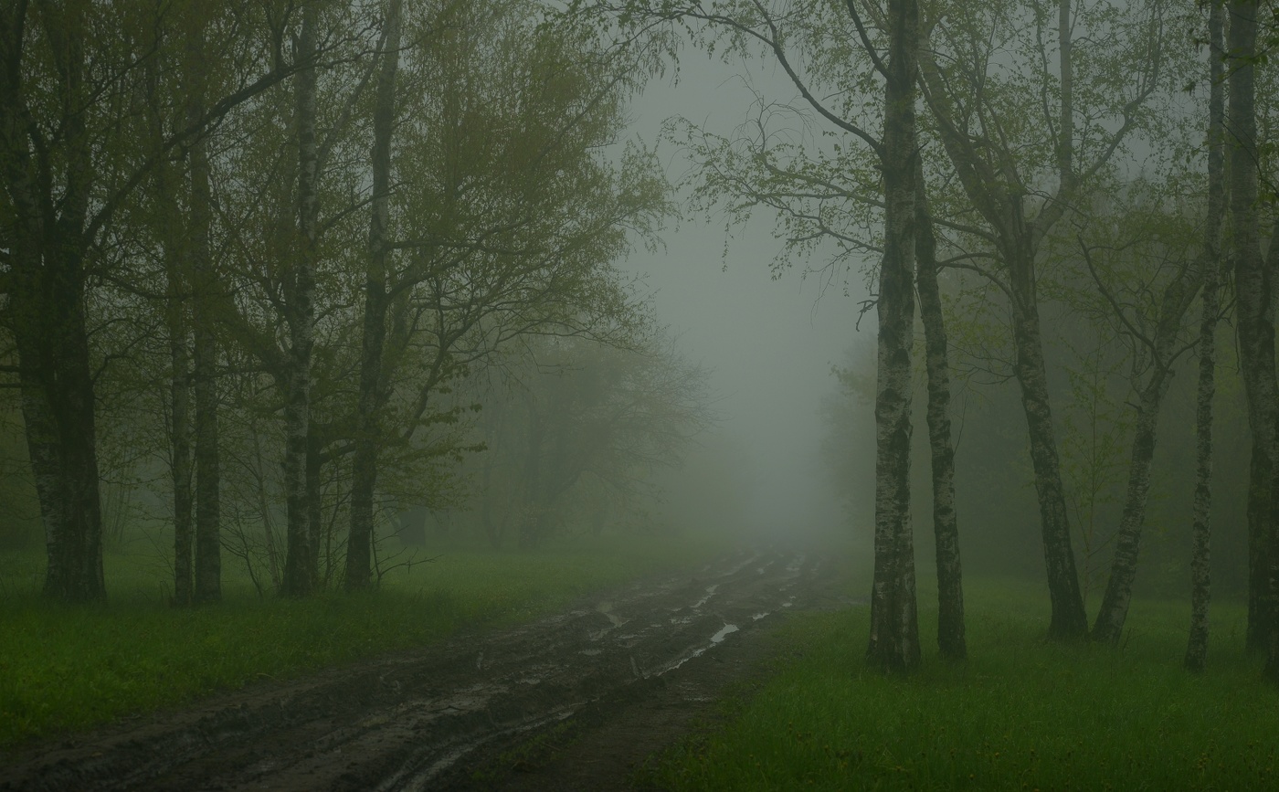 Туманное утро