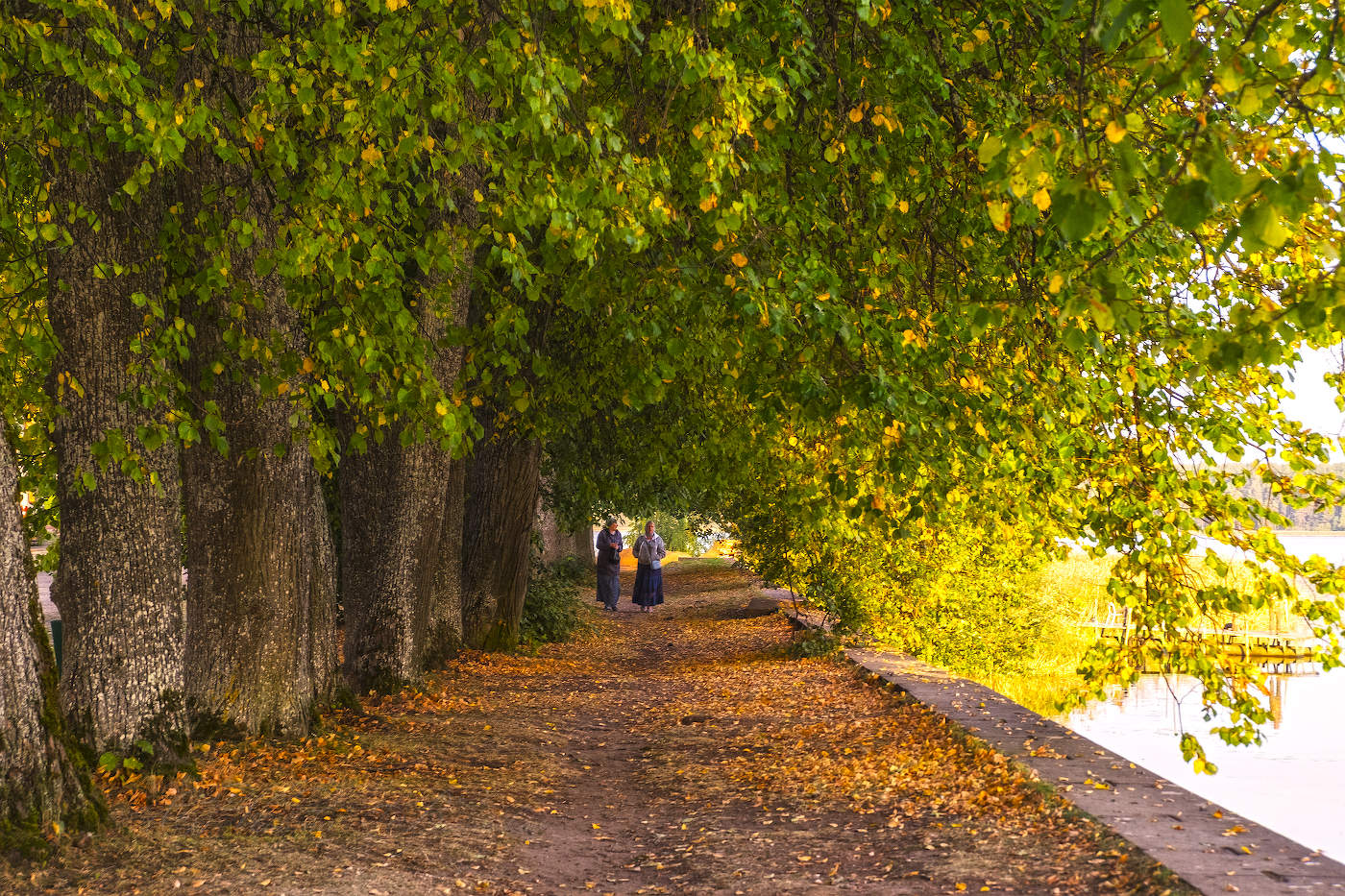 Прогулка по липовой аллее