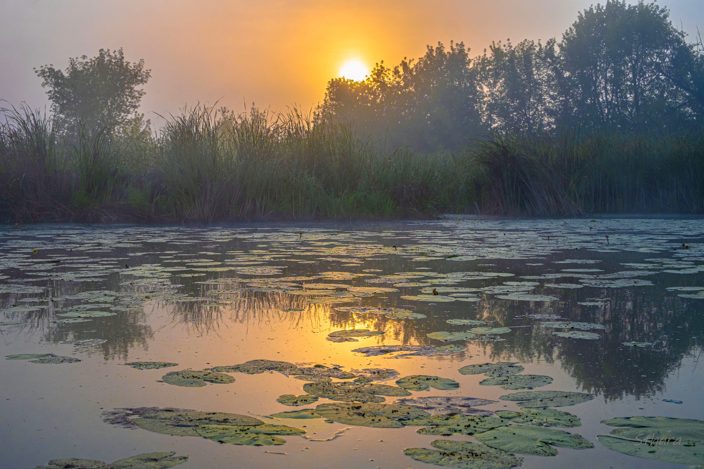 Рассвет на озере Студёное.
