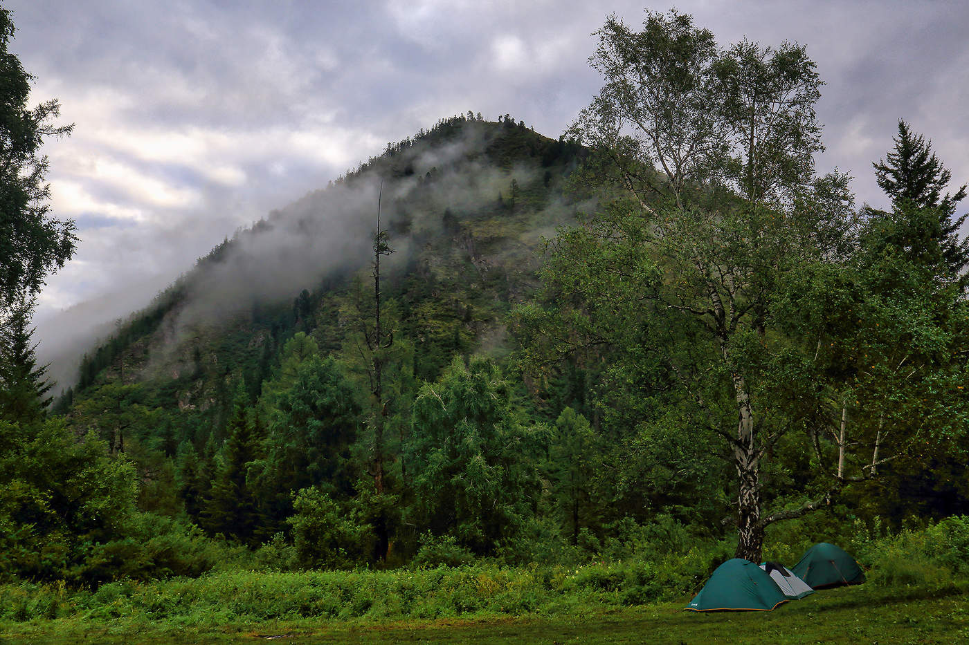 Утро у "Трех берез"
