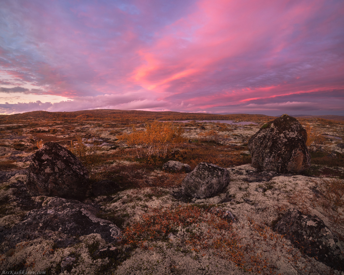 "Краски осенней тундры"