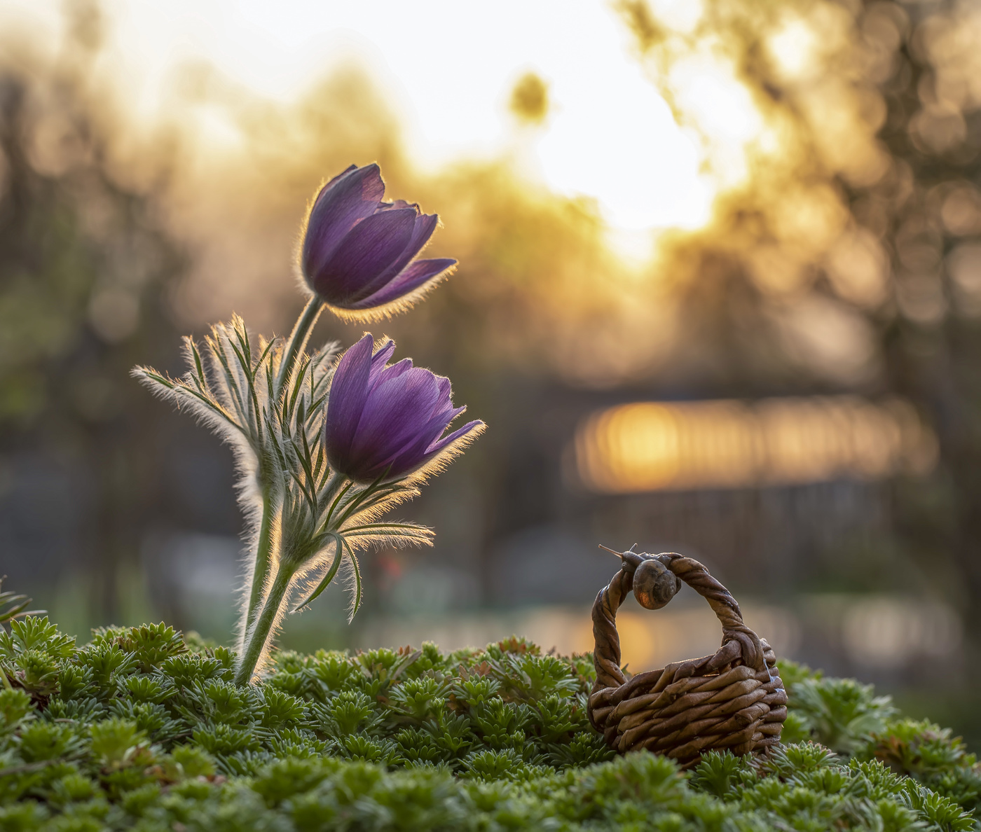На закате дня...