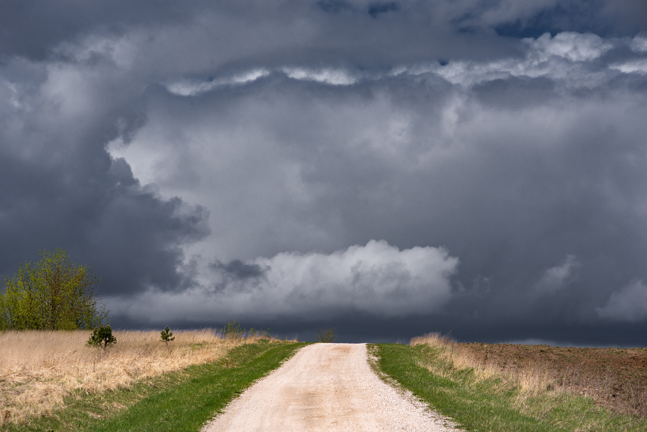 Тревожность