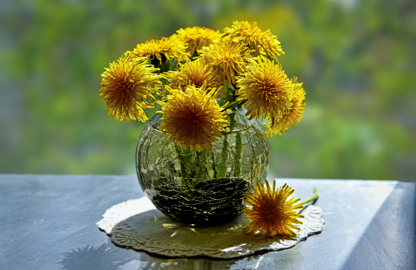 Солнечное настроение.