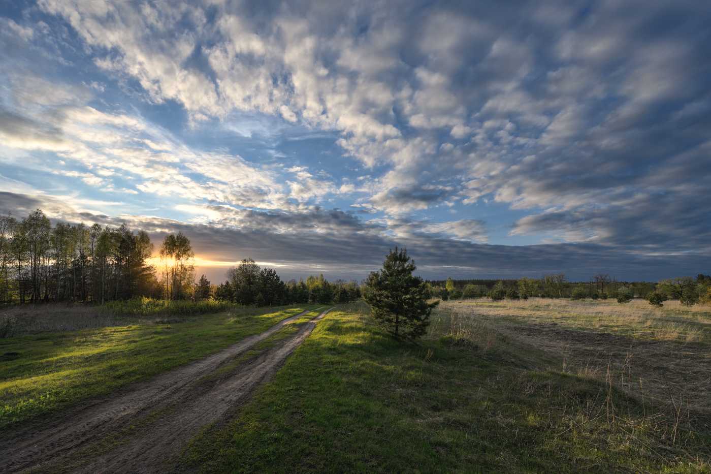 по вечерней дорожке