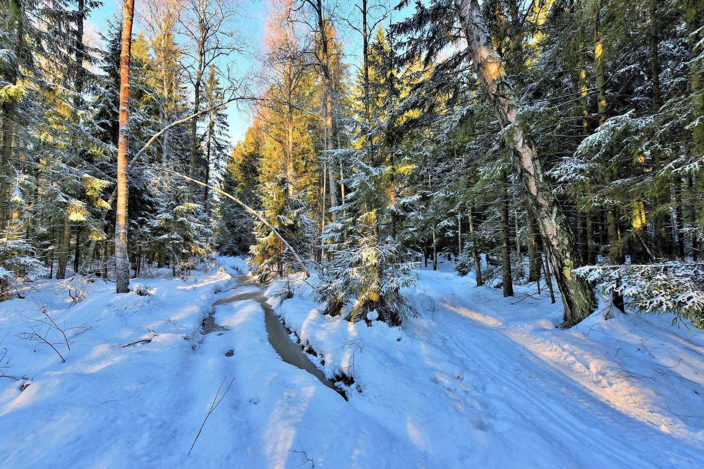 Морозный денек ...