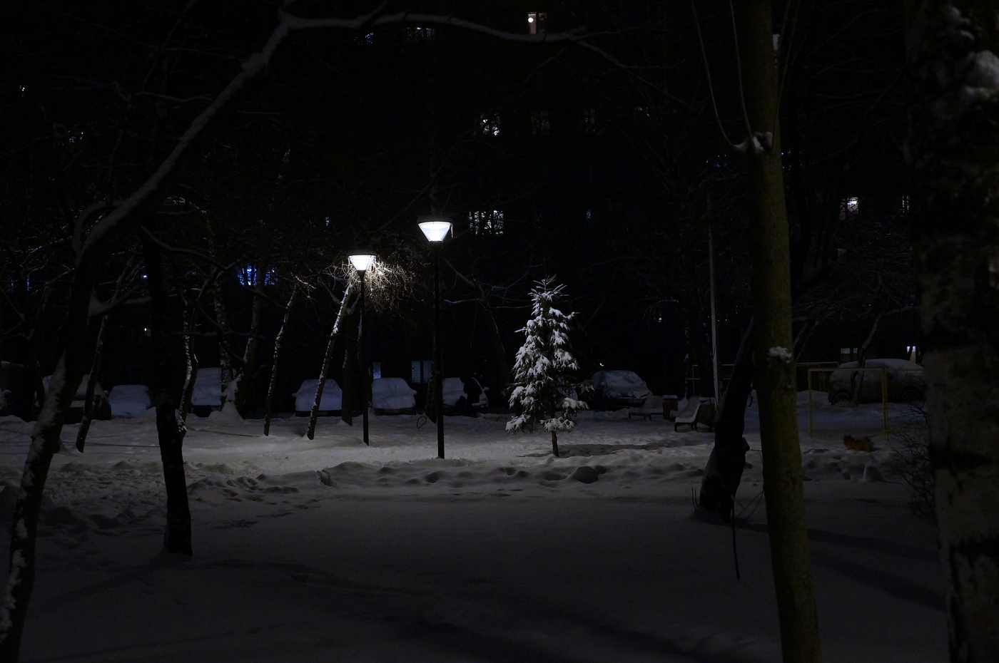 Зимний вечер