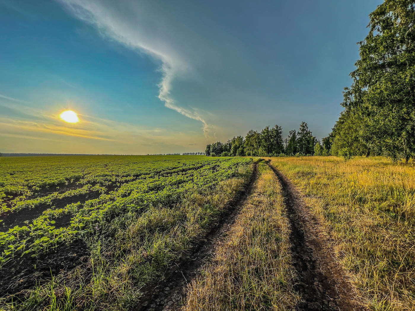 Надвигается гроза