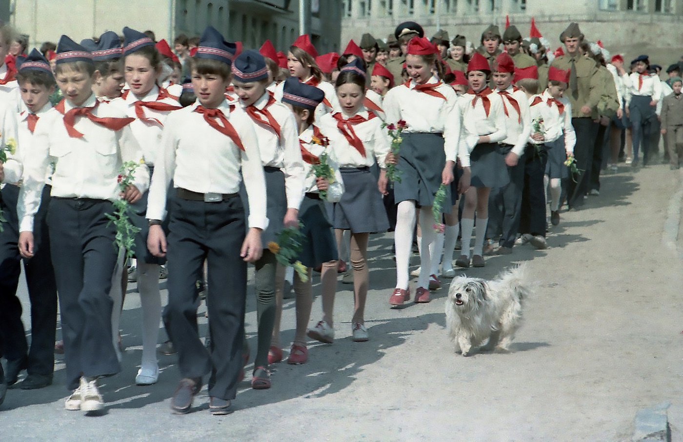 В сопровождении