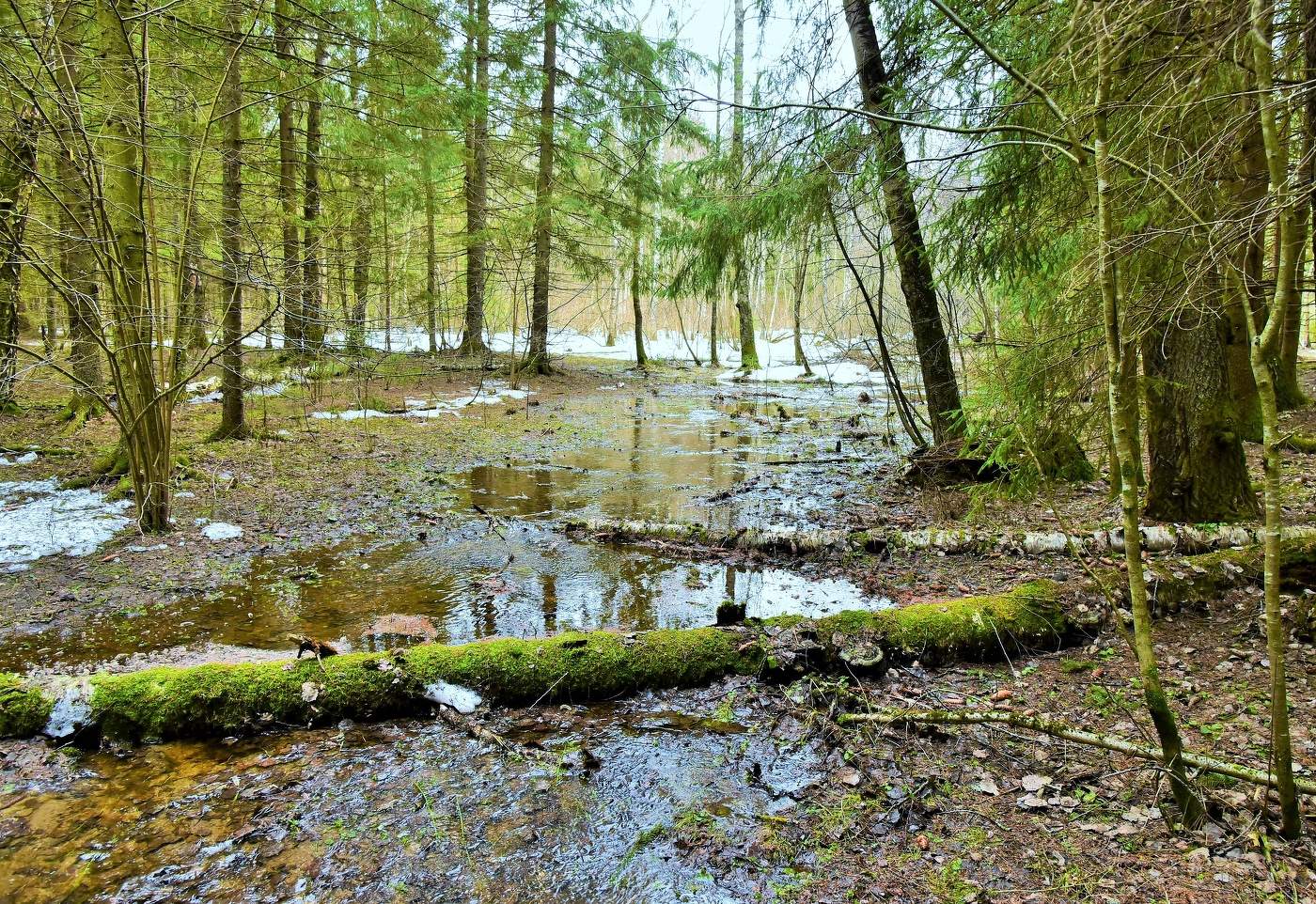 Бегут ручьи ...