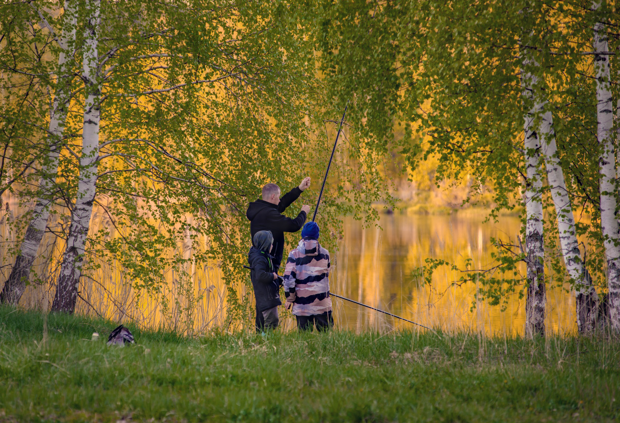На вечерней зорьке