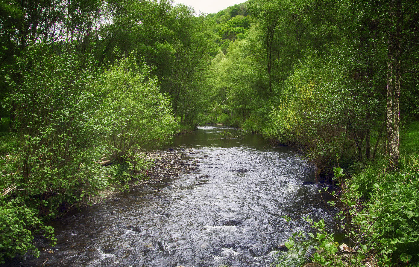 Речушка Нетте