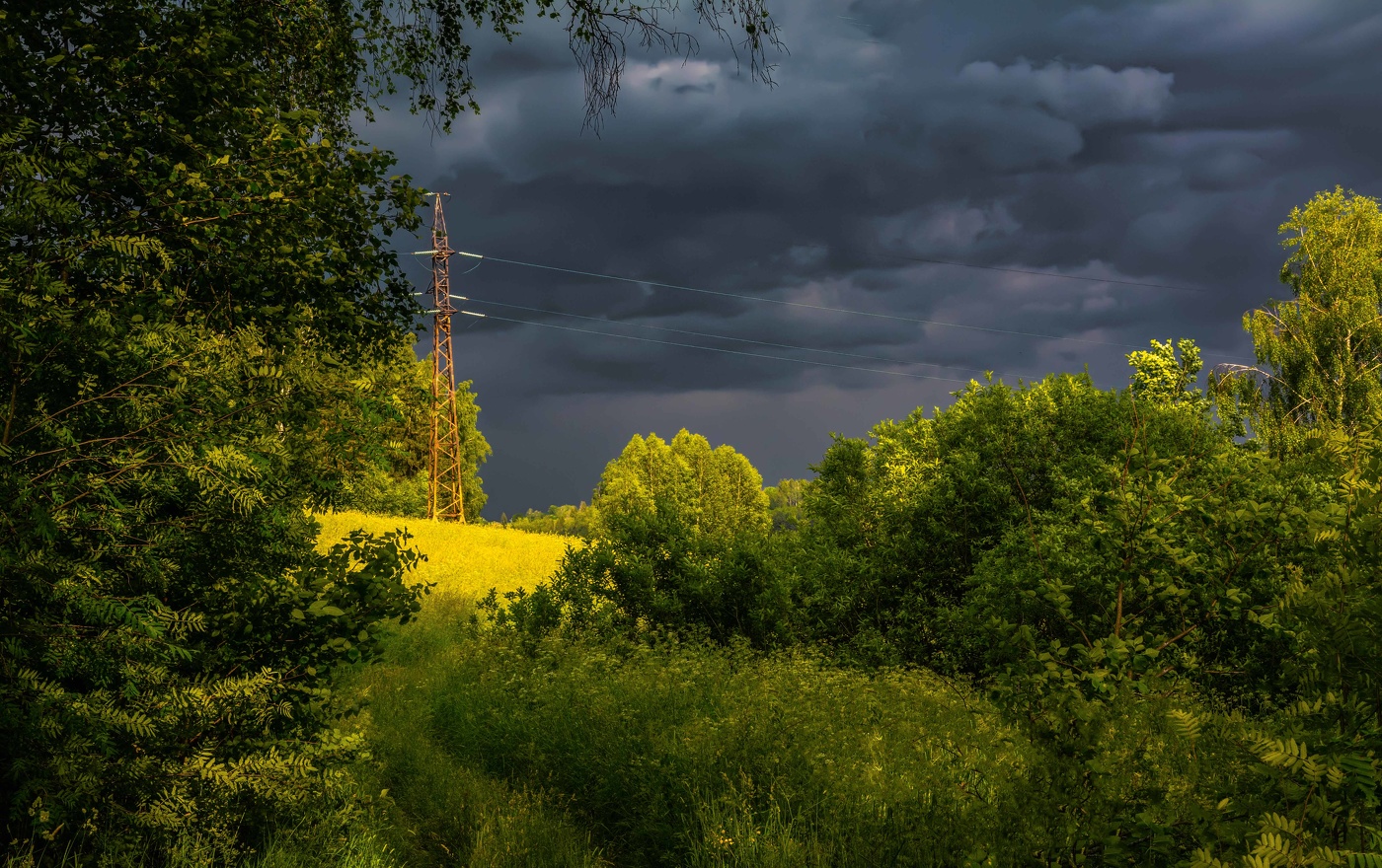 перед грозой