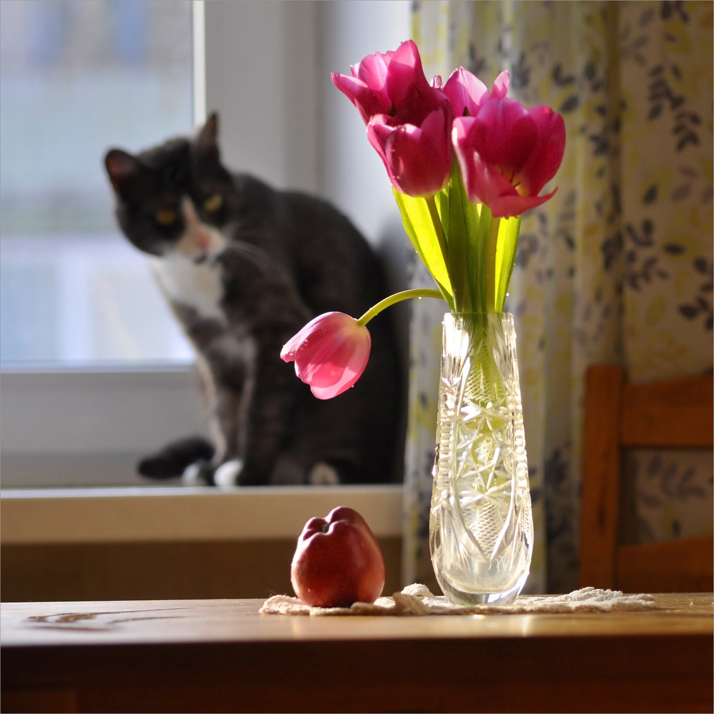 Диалог о весне