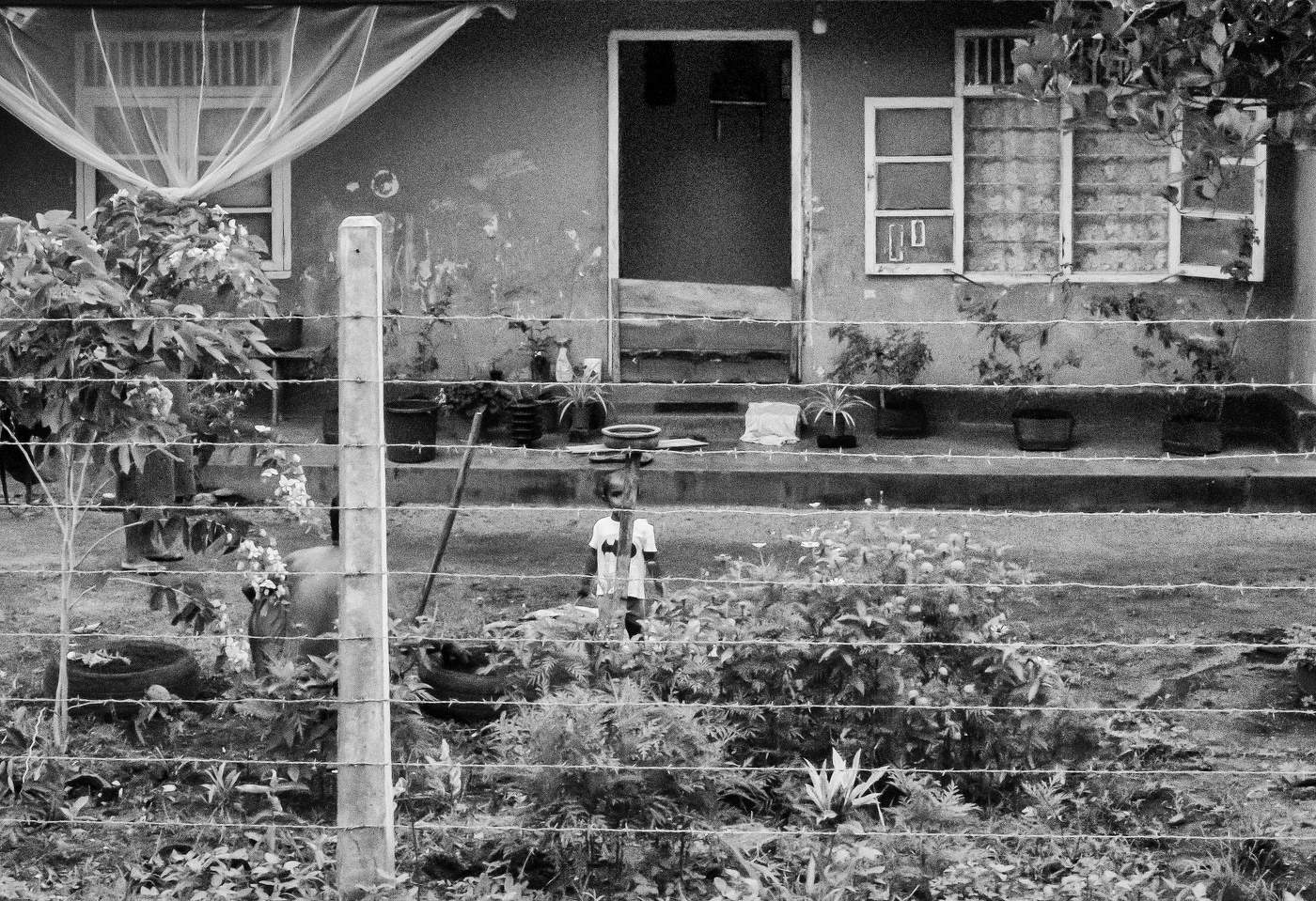 воля_не_воля