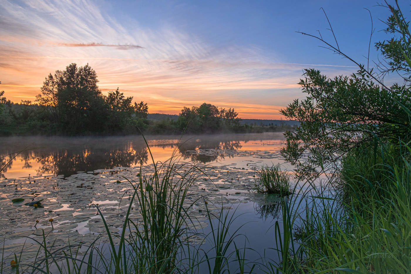 Летом на озере.