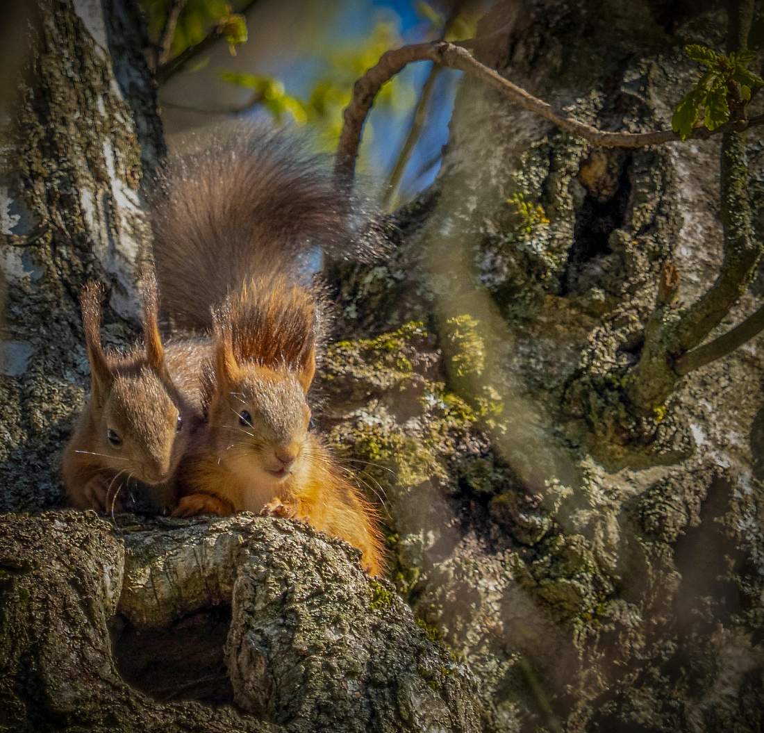 С братишкой )