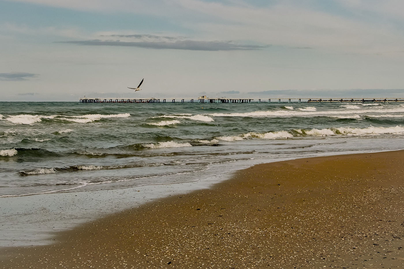 В свободном парении