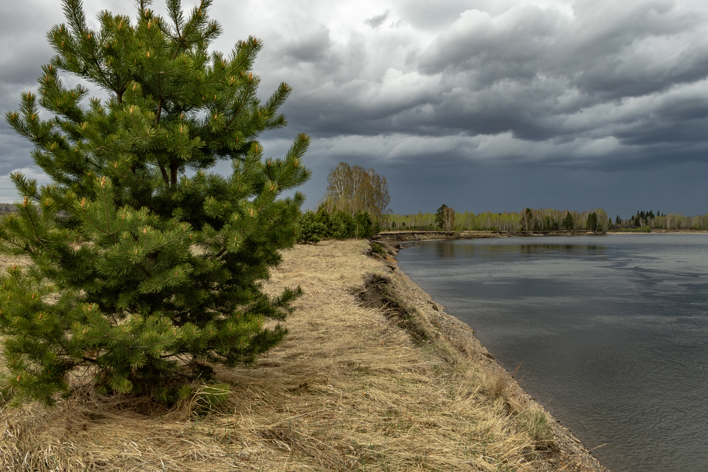 Майская зелень