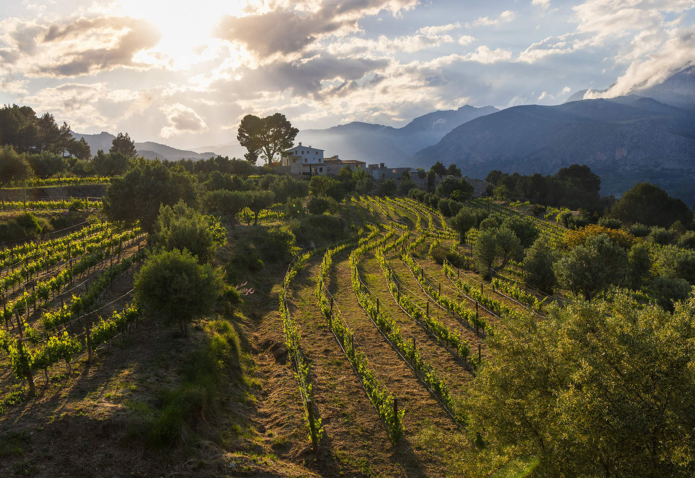 Вечерний пейзаж