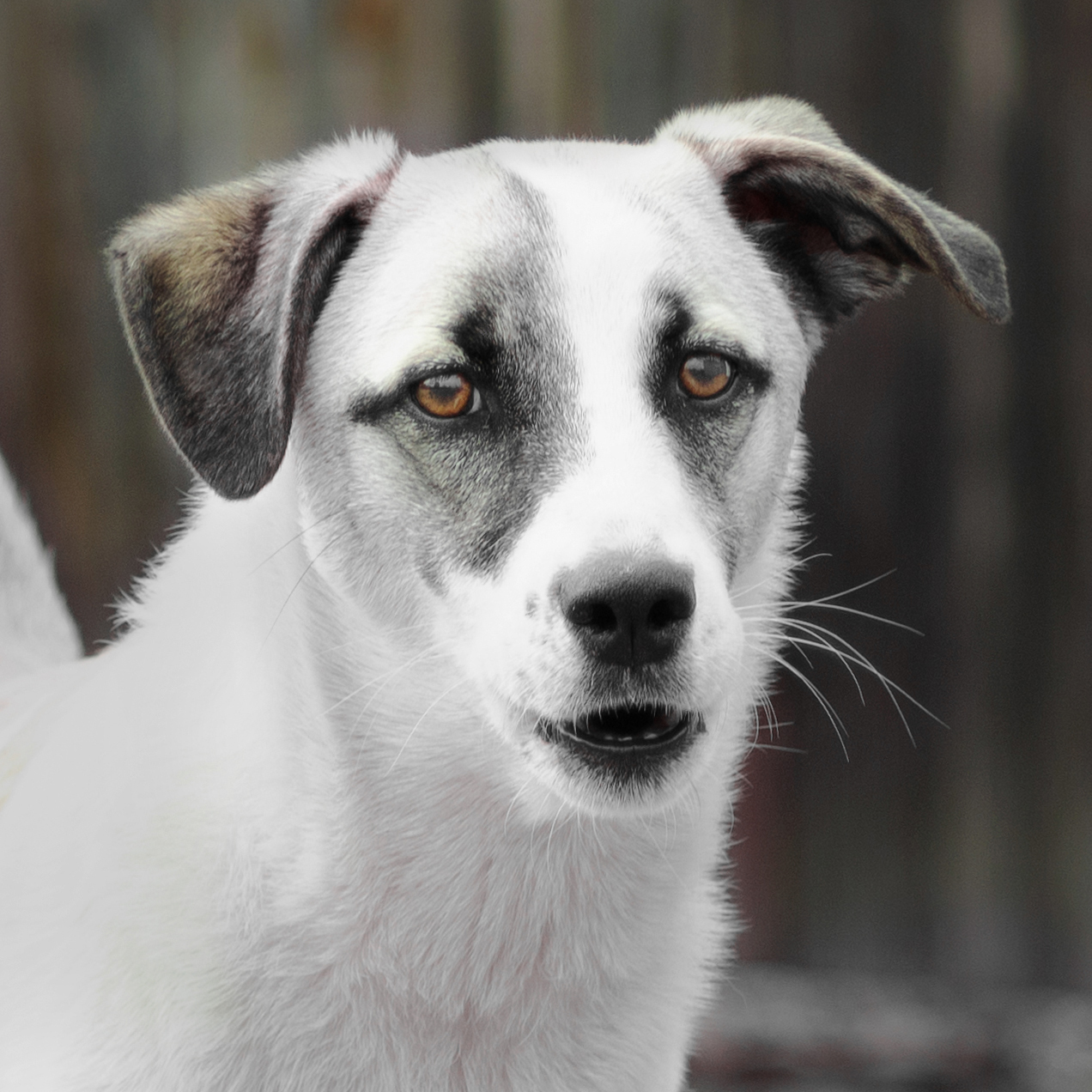 "Удивлен и возмущен"